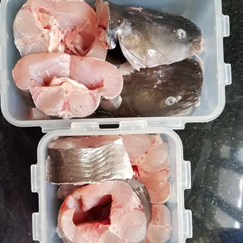 cá lăng tiêu là cá gì cá lăng tiêu là cá gì