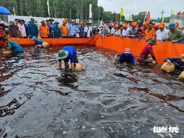 cá lóc rừng u minh cá lóc rừng u minh