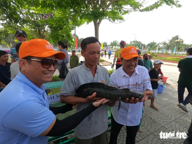 cá lóc rừng u minh cá lóc rừng u minh