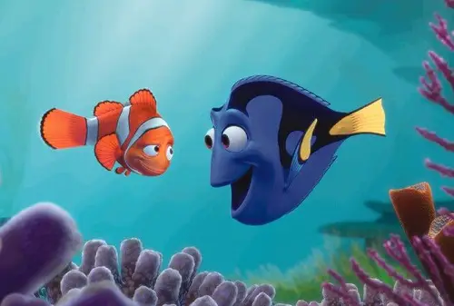 cá nemo giá bao nhiêu cá nemo giá bao nhiêu