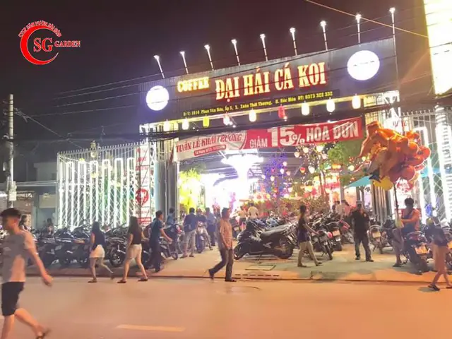 Khám Phá Cà Phê Cá Koi Hóc Môn: Top 5 Quán Đáng Ghé Nhất cà phê cá koi hóc môn