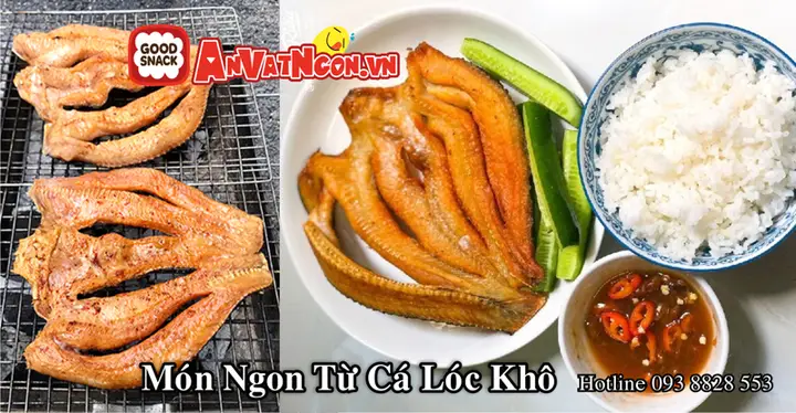 cá quả và cá lóc cá quả và cá lóc