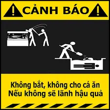 cá rồng nấm đen