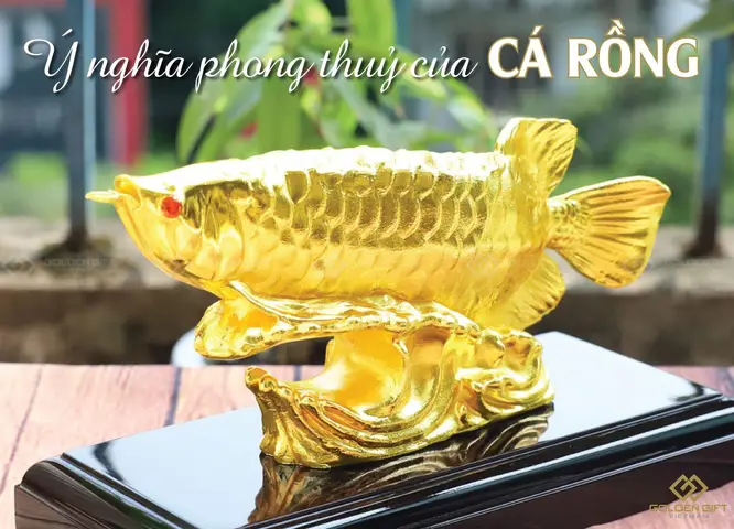 cá rồng phong thủy cá rồng phong thủy