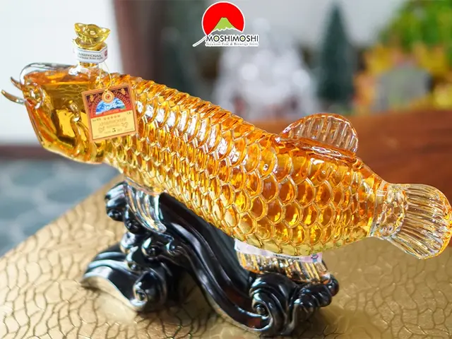 cá rồng thủy tinh cá rồng thủy tinh