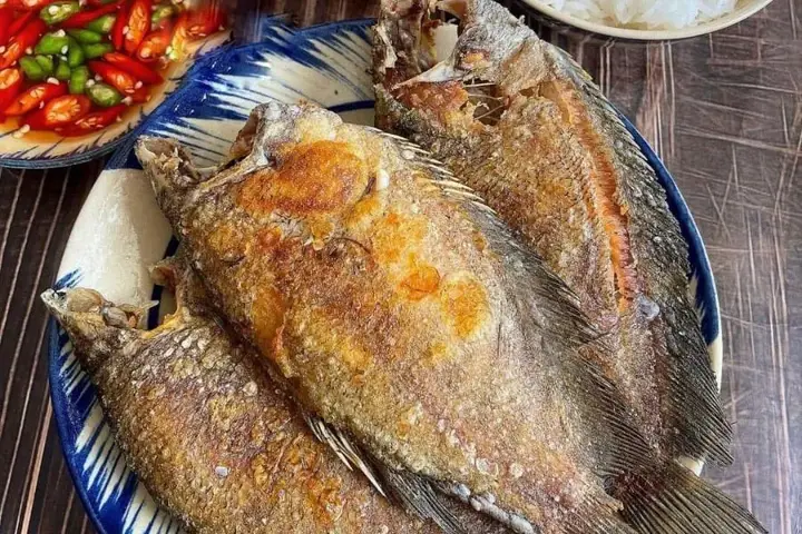 cá sặc bổi là gì cá sặc bổi là gì