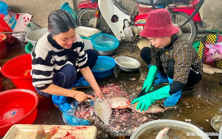 cá vền sông đà cá vền sông đà