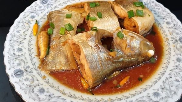 Giải mã cá nhụ cá chim: Từ đặc điểm sinh học đến giá trị ẩm thực Giải mã cá nhụ cá chim: Từ đặc điểm sinh học đến giá trị ẩm thực