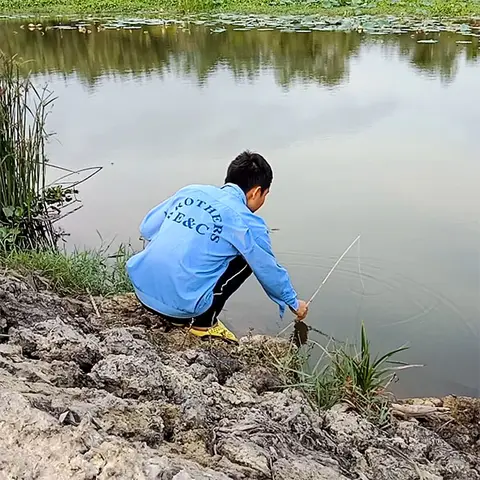 các kiểu câu cá các kiểu câu cá