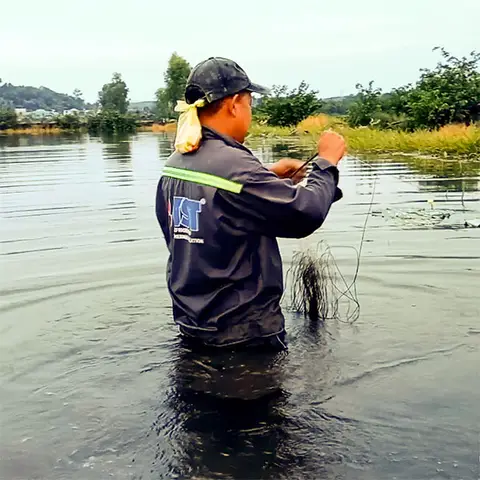 các kiểu câu cá các kiểu câu cá