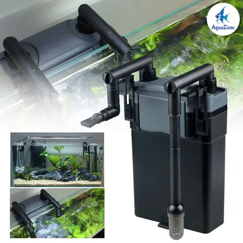 các loại cá thông dụng