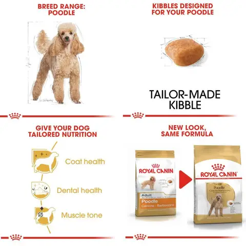 Các loại hạt cho chó Poodle các loại hạt cho chó poodle