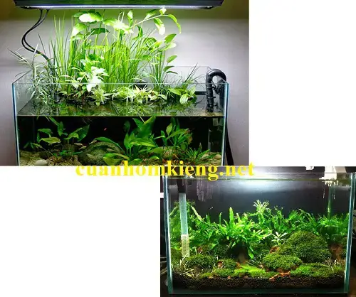 cách cắt kính bể cá cách cắt kính bể cá