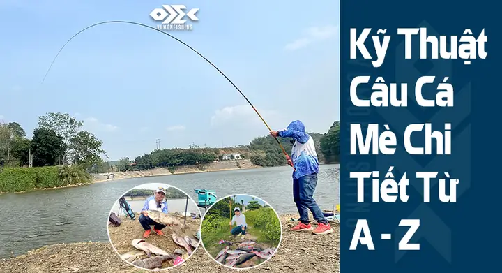 cách câu cá mè hiệu quả nhất cách câu cá mè hiệu quả nhất