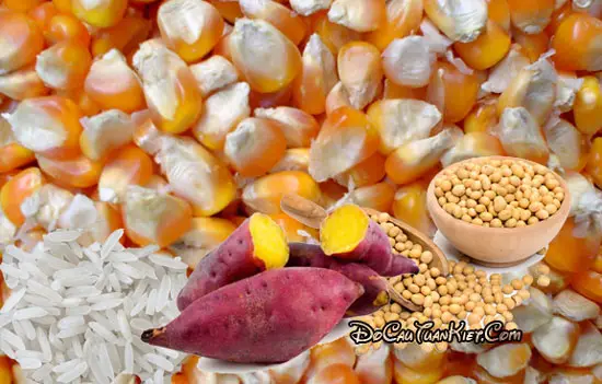 cách câu cá trôi trắng cách câu cá trôi trắng