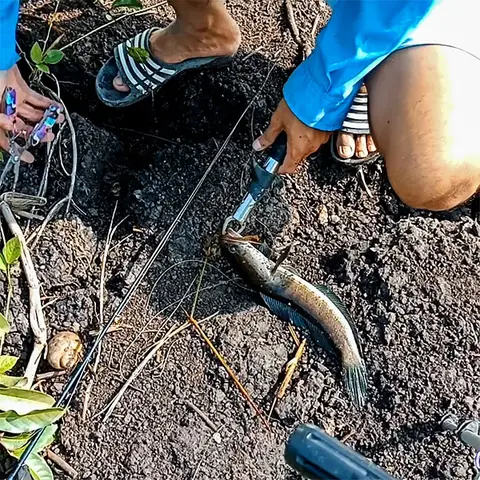 cách câu lure cá lóc cách câu lure cá lóc