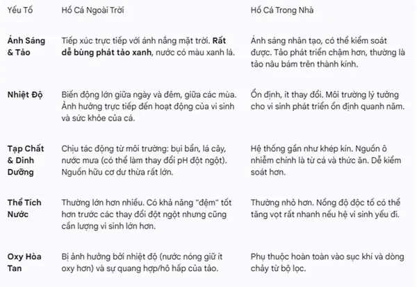 cách chăm vi sinh cho hồ cá cách chăm vi sinh cho hồ cá