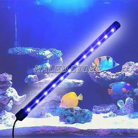 cách chế hồ cá cách chế hồ cá