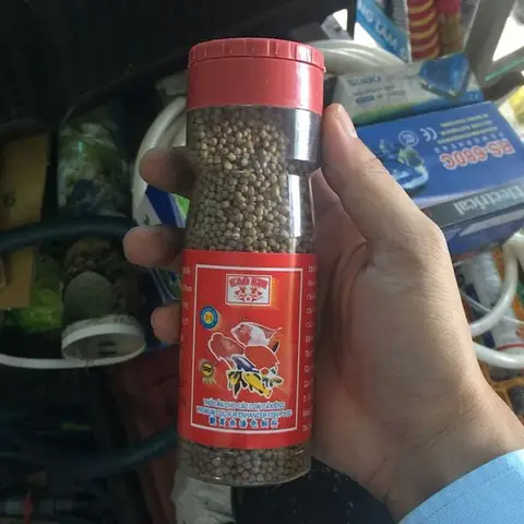 cách cho cá ăn cách cho cá ăn