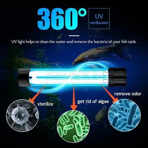 cách chọn đèn uv cho hồ cá cách chọn đèn uv cho hồ cá