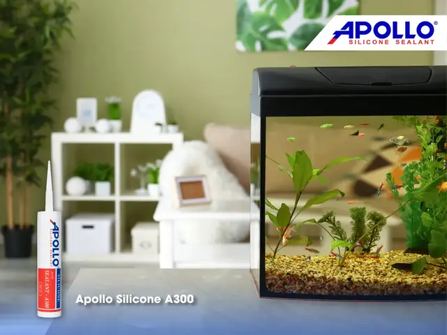 cách dán bể cá dấu keo cách dán bể cá dấu keo