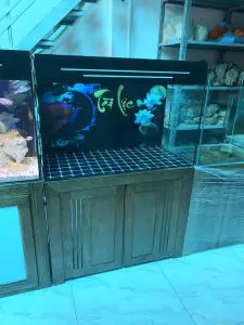 cách dán tranh 3d cho bể cá cách dán tranh 3d cho bể cá