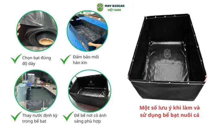 cách làm bể bạt nuôi cá cách làm bể bạt nuôi cá