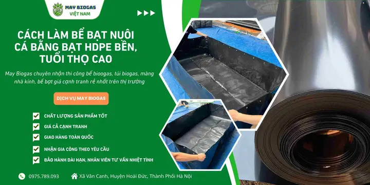 cách làm bể bạt nuôi cá cách làm bể bạt nuôi cá