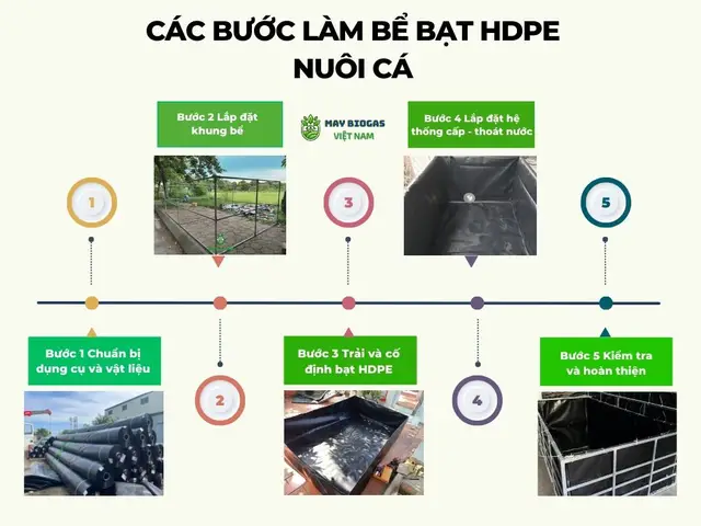 cách làm bể bạt nuôi cá cách làm bể bạt nuôi cá