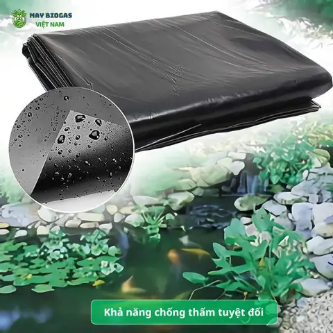 cách làm bể bạt nuôi cá cách làm bể bạt nuôi cá