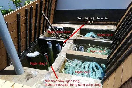 cách làm lọc hồ cá koi đơn giản cách làm lọc hồ cá koi đơn giản