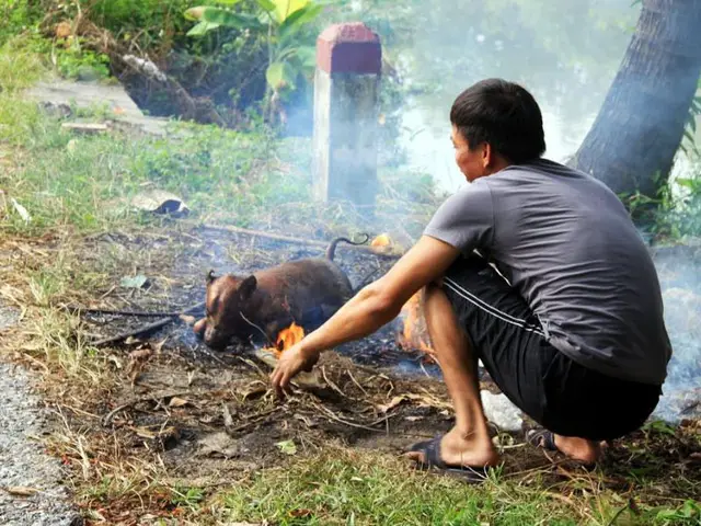 Dinh dưỡng đóng vai trò then chốt trong sự phát triển của lông chó Dinh dưỡng đóng vai trò then chốt trong sự phát triển của lông chó