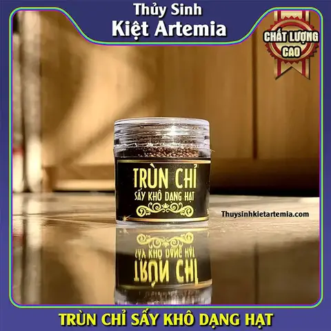 cách làm sạch trùn chỉ trước khi cho cá ăn cách làm sạch trùn chỉ trước khi cho cá ăn