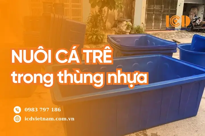 cách nuôi cá trê cách nuôi cá trê
