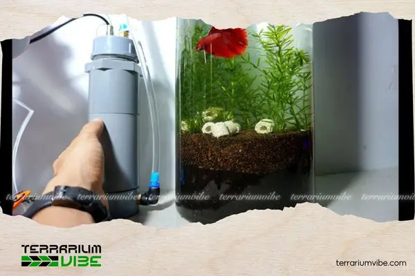 cách tính số lít nước trong bể cá cách tính số lít nước trong bể cá
