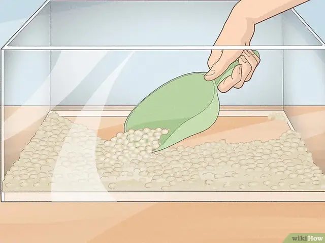 cách xử lý nước nuôi cá betta cách xử lý nước nuôi cá betta