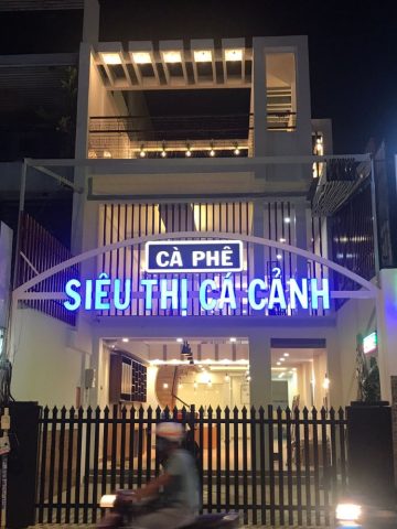 Top 5 Siêu Thị Cá Cảnh Uy Tín Bạn Nên Ghé Thăm Ở TP.HCM Top 5 Siêu Thị Cá Cảnh Uy Tín Bạn Nên Ghé Thăm Ở TP.HCM