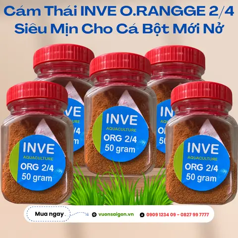 cám inve cho cá cám inve cho cá