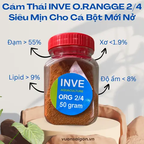cám inve cho cá cám inve cho cá