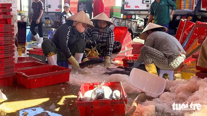 cảng cá tắc cậu kiên giang cảng cá tắc cậu kiên giang
