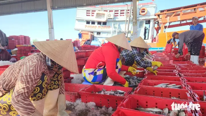 cảng cá tắc cậu kiên giang cảng cá tắc cậu kiên giang