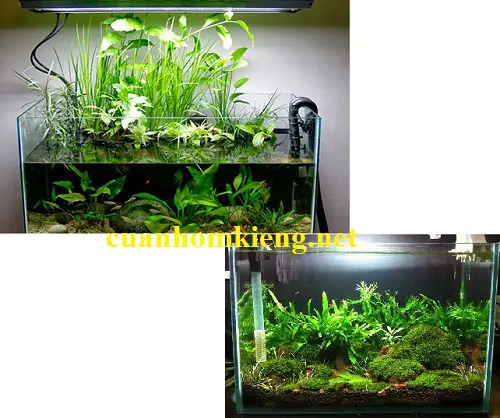 cắt kiếng hồ cá giá rẻ cắt kiếng hồ cá giá rẻ