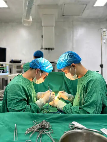 Cấu Tạo Dương Vật Của Chó: Giải Mã Toàn Diện Từ A-Z Cho Chủ Nuôi cấu tạo dương vật của chó