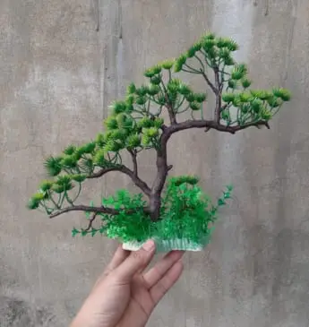cây bonsai trang trí bể cá cây bonsai trang trí bể cá