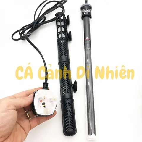 cây sưởi hồ cá rồng cây sưởi hồ cá rồng