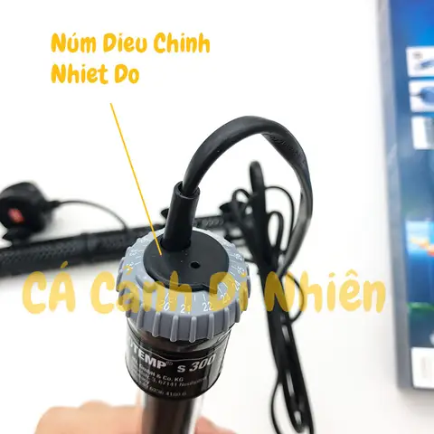 cây sưởi hồ cá rồng cây sưởi hồ cá rồng