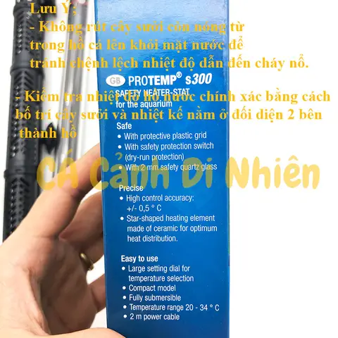 cây sưởi hồ cá rồng cây sưởi hồ cá rồng