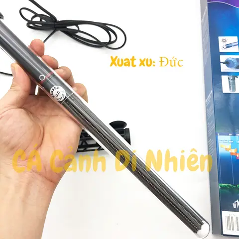 cây sưởi hồ cá rồng cây sưởi hồ cá rồng