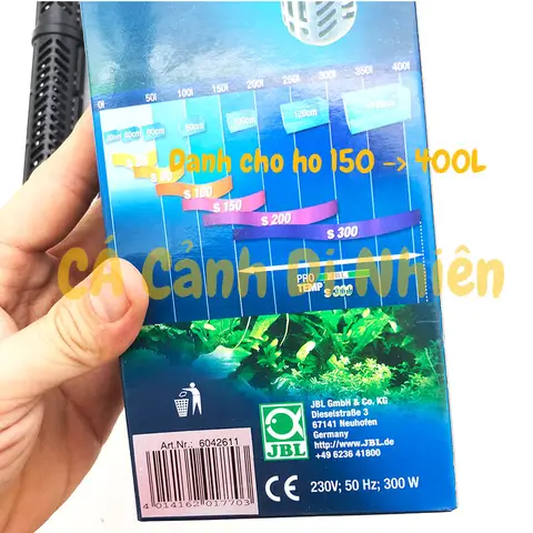 cây sưởi hồ cá rồng cây sưởi hồ cá rồng