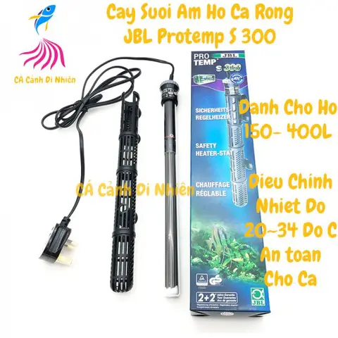 cây sưởi hồ cá rồng cây sưởi hồ cá rồng